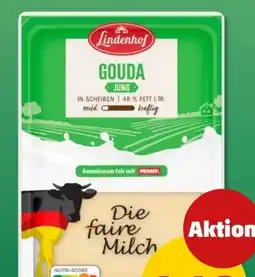 PENNY Lindenhof Gouda Angebot