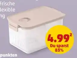 PENNY Brabantia Kühlschrank Frischhalteboxen Angebot