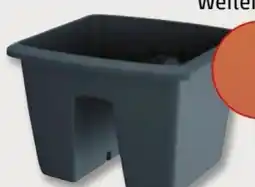 PENNY Prosperplast Blumentopf Angebot