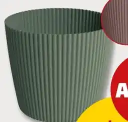 PENNY Prosperplast Blumentopf Milly Angebot