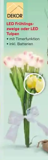 Netto Marken-Discount Dekor LED Tulpen Angebot