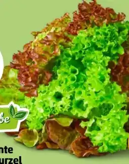 PENNY Marktliebe Regional Bunte Salate Angebot