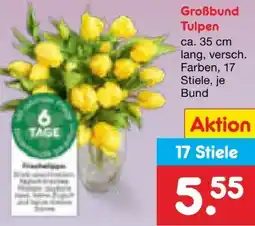Netto Marken-Discount Tulpen-Großbund Angebot