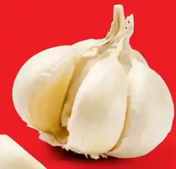 Lidl Bio Knoblauch Angebot