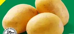 Lidl Bio-Speisekartoffeln Angebot