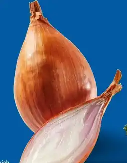 Lidl Schalotten Angebot