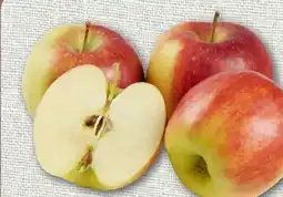 nahkauf Rewe Regional Tafeläpfel Angebot