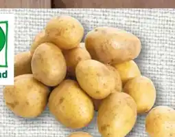 nahkauf Rewe Bio Bio-Speisekartoffeln Angebot