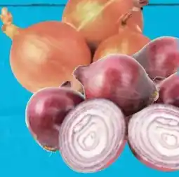 E-Center Bio Zwiebeln Angebot