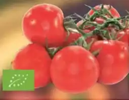 E-Center Mini-Rispentomaten Angebot