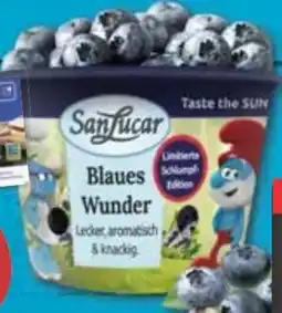 E-Center SanLucar Heidelbeeren Angebot