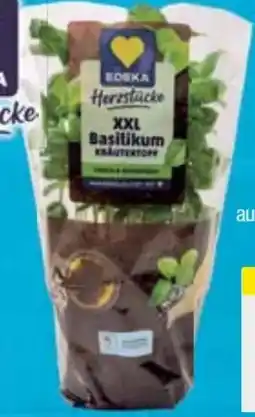 E-Center Edeka Herzstücke XXL Basilikum Angebot