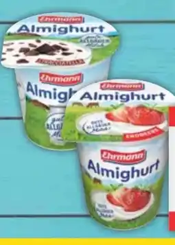 E-Center Ehrmann Almighurt Angebot