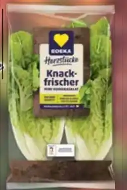 E-Center Edeka Herzstücke Mini Romanasalat Angebot