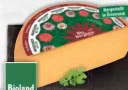 E-Center Andechser Natur Bio Bergkäse Angebot