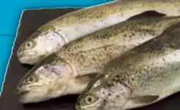 E-Center Forellen Angebot