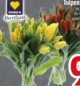 Edeka Edeka Herzstücke Tulpen-Strauß XL Angebot