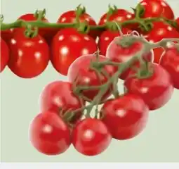 Edeka Xpress Mini-Rispentomaten Angebot