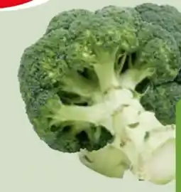 Edeka Xpress Gut & Günstig Brokkoli Angebot