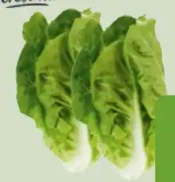 Edeka Xpress Edeka Herzstücke Mini Romanasalat Angebot