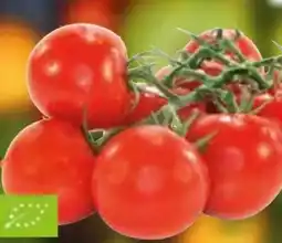 Edeka Bio-Rispentomaten Angebot