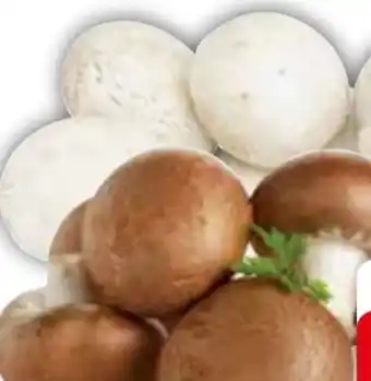 Edeka Riesenchampignons Angebot