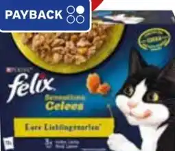 Edeka Purina Felix Katzennahrung Angebot