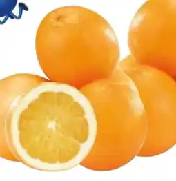 Edeka Edeka Genussmomente Orangen Angebot