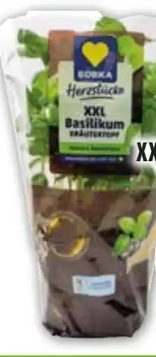 Edeka Edeka Herzstücke XXL Basilikum Angebot