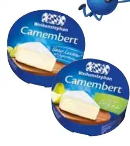 Edeka Weihenstephan Camembert Angebot