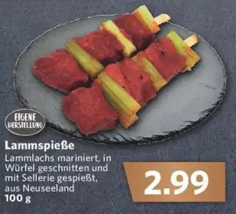 Combi Lammspieße 100g Angebot