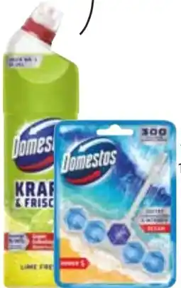 Edeka Domestos WC-Stein Angebot