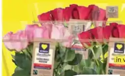 Edeka Edeka Herzstücke Rosenstrauß Angebot