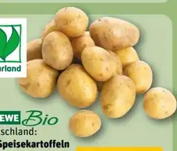 REWE Center Rewe Bio Bio-Speisekartoffeln Angebot