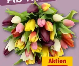 REWE Center Tulpenbund Kunterbunt Angebot