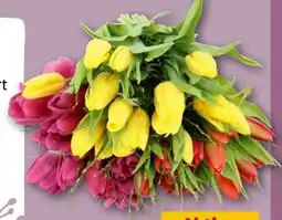 REWE Center Tulpenstrauß Frühlingswind Angebot