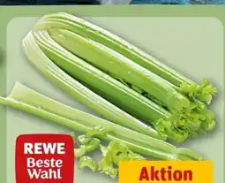 REWE Center Staudensellerie Angebot