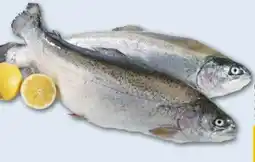 REWE Center Lachsforelle Angebot