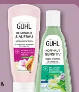 REWE Center Guhl Spülung Angebot