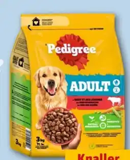 REWE Center Pedigree Adult Angebot
