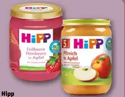 REWE Center HiPP Bio Erdbeere Himbeere in Apfel Angebot