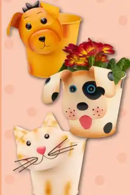 REWE Center Blumentopf Angebot