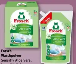 REWE Center Frosch Waschpulver Angebot