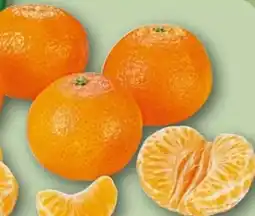 REWE Rewe Beste Wahl Mandarinen Angebot