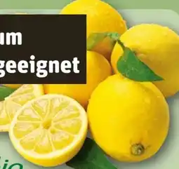 REWE Rewe Bio Zitronen Angebot