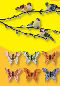 Lidl Livarno Home Dekoclips Angebot