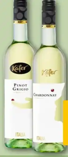 REWE Käfer Pinot Grigio Angebot