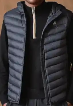 Lidl Esmara x U.S. Grand Polo Herren Steppweste Angebot