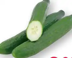 Scheck-in-Center Gurken Angebot