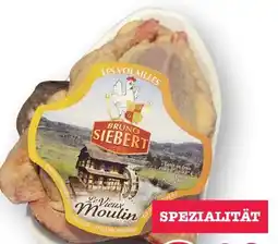 Scheck-in-Center Les Volailles Bruno Siebert Tauben Angebot